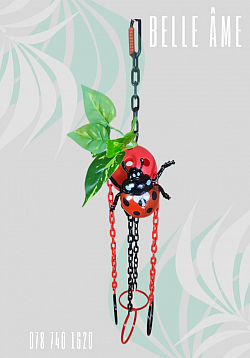 Bug ball pulley